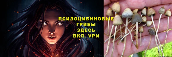 гидра Россошь