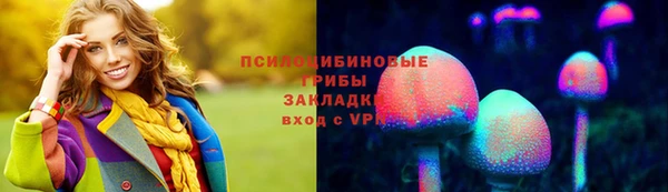 марки lsd Абаза