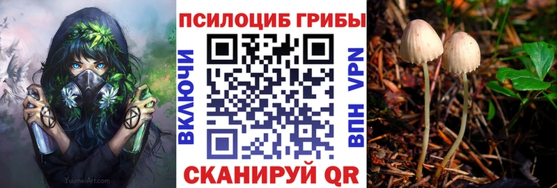 Галлюциногенные грибы прущие грибы MEGA tor Вилюйск наркота